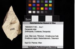 Foto (Objket + Etiketten) von Decapoda indet. 